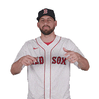 Red Sox Baseball Sticker by Boston Red Sox