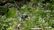 discovery channel survival GIF by Discovery Europe
