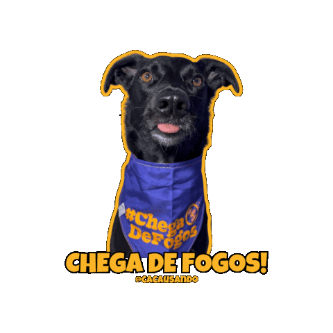 Dog Pet Sticker