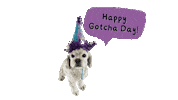 Gotcha Day Sticker by Camp Cocker Rescue