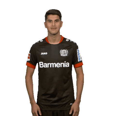 Posing Bayer 04 Sticker by Bundesliga