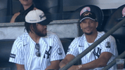 New York Yankees Sport GIF by MLB