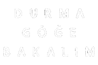 Birevyeni Sticker
