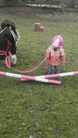 Little Girl Follows Pony's Lead in Overcoming One of Life's Obstacles