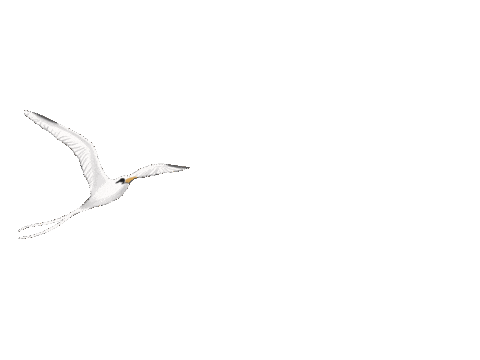 La Reunion Queue Sticker