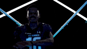 Old Dominion Sport GIF by ODU Football