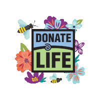 donatelifeamerica donatelife ndlm donatelifeamerica Sticker