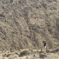 what's up wave GIF by Andrea