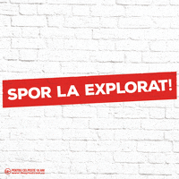 Beer GIF by URSUS ROMANIA