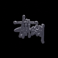 Animation Logo GIF by Projekt-AI