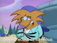 angry beavers nicksplat GIF