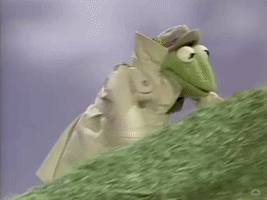 Kermit rolling down a hill