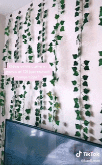 GIF by BuzzFeed