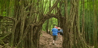 hawaii GIF
