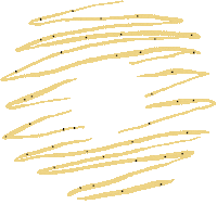Donut Drizzle Sticker by COSHI