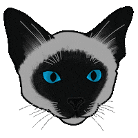 Blue Eyes Cat Sticker by Jasi Gray