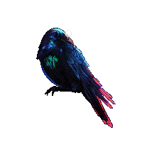 SingleEffectStudios tuka single effect studios tuka xochis apothecary tuka sleeping Sticker