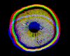 oklahomafungi happy trippy nice color GIF