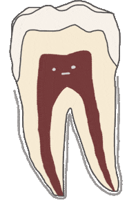 Teeth Tooth Sticker