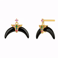aristocrazy  GIF