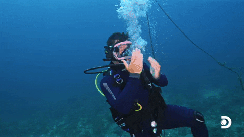 Adam Devine Workaholics GIF by Shark Week