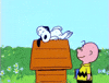 Peanuts gif. Charlie Brown stands next to Snoopy's doghouse as Snoopy slowly awakes, rises, and yawns.