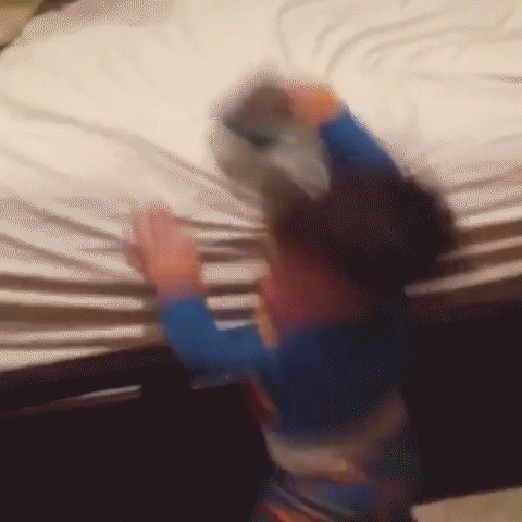 toddler hour GIF