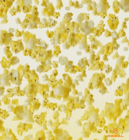 Make It Rain Falling GIF by Regal