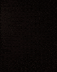 linneabullion halloween spooky creepy spider GIF
