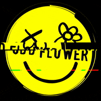 theoddflowerco smile tv glitch trippy GIF