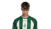 Look Up Werder Bremen Sticker by Bundesliga