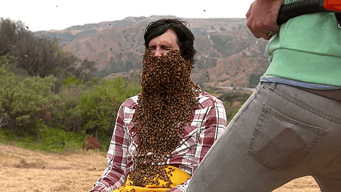 beard GIF
