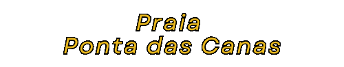 Beach Praias Sticker by GIFS DA CRIS