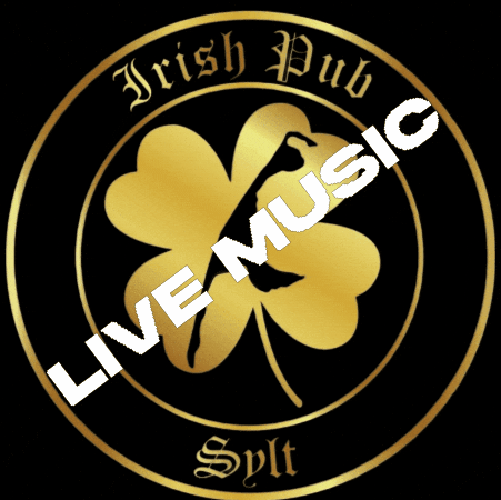 irishpubsylt giphygifmaker giphyattribution irishpubsylt GIF