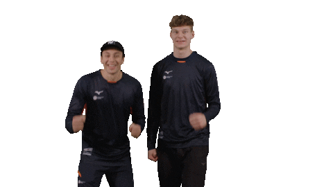 Teamnl Beachvolleybal Sticker by Nevobo