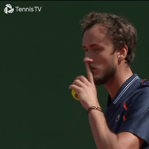 Rome Masters F: Daniil Medvedev vs. Holger Rune | Page 6 | Talk Tennis