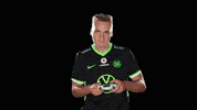 E Sports Sport GIF by VfL Wolfsburg