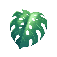 Travel Flower Sticker by Hawaiian Airlines