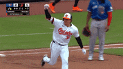 Celebrate Major League Baseball GIF by MLB