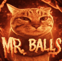 Cat Mr Ball GIF