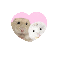 Hamster Sticker