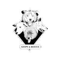 rescueyhdistyskulkurit adopt dont shop rescue dog kulkurit rescueyhdistys kulkurit Sticker