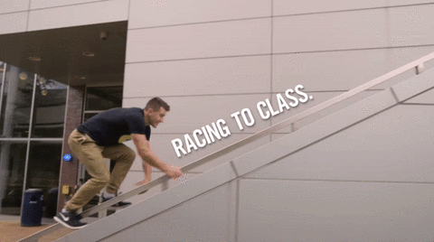 vikings racing GIF by Cleveland State University