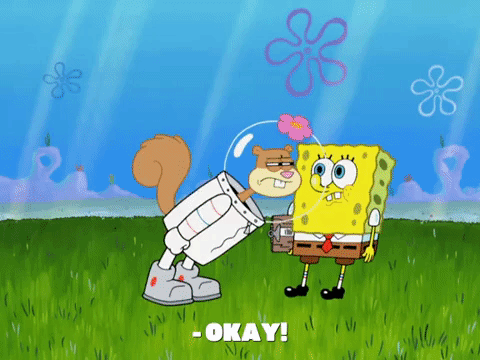 season 8 episode 13 GIF by SpongeBob SquarePants