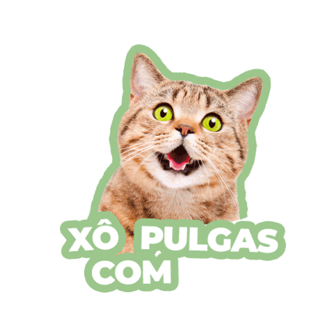 cevabrasil giphyupload gatos pulgas carrapatos Sticker