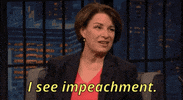 Impeach Donald Trump GIF