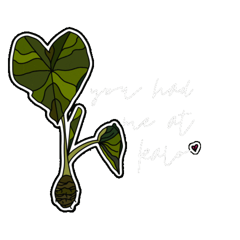Kalo Sticker