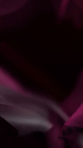 Horror GIF by Youtooz