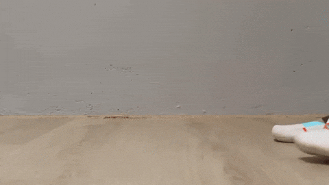 hanhanhanko giphyupload GIF