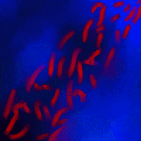 Art Glow GIF